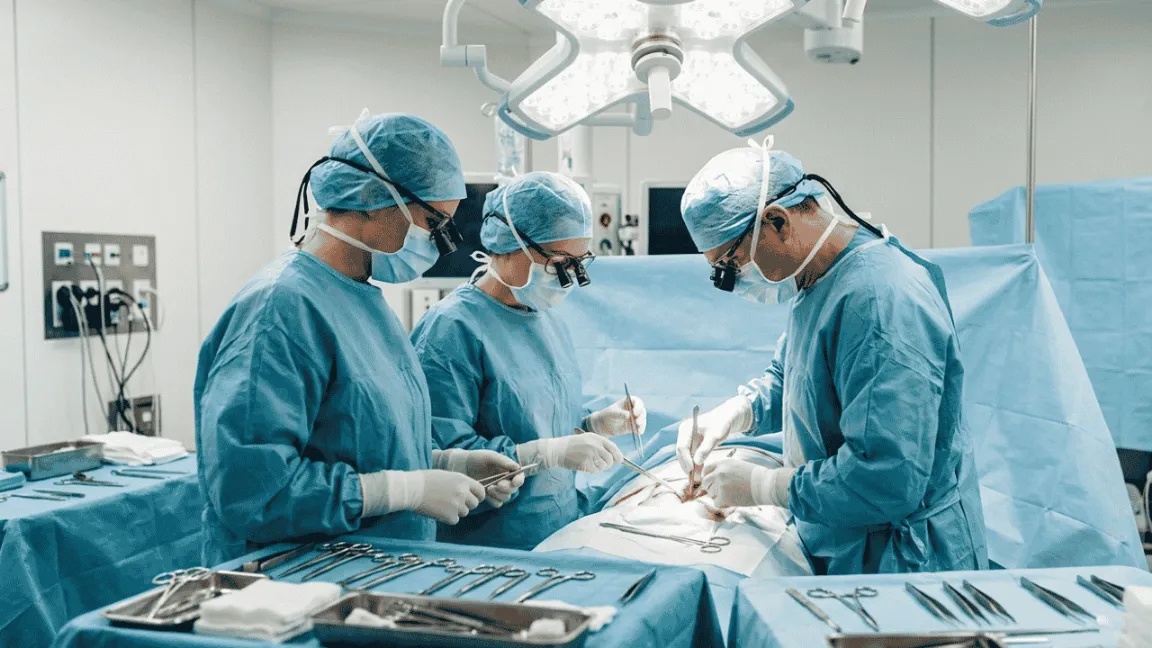 Toy in the Lung