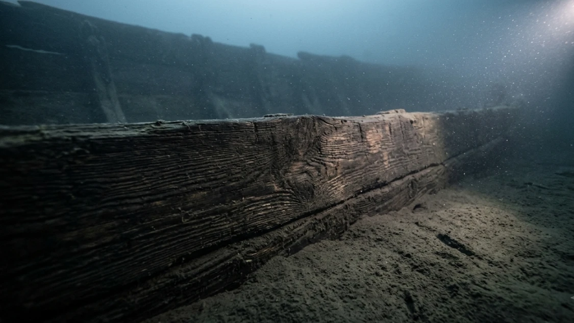 Vasa Warship That Sank in Minutes